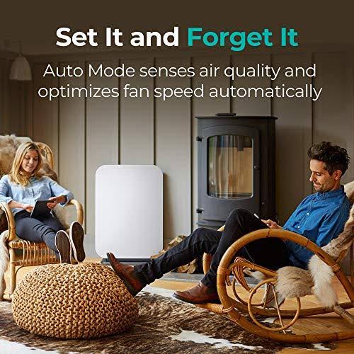 True HEPA Air Purifier D138