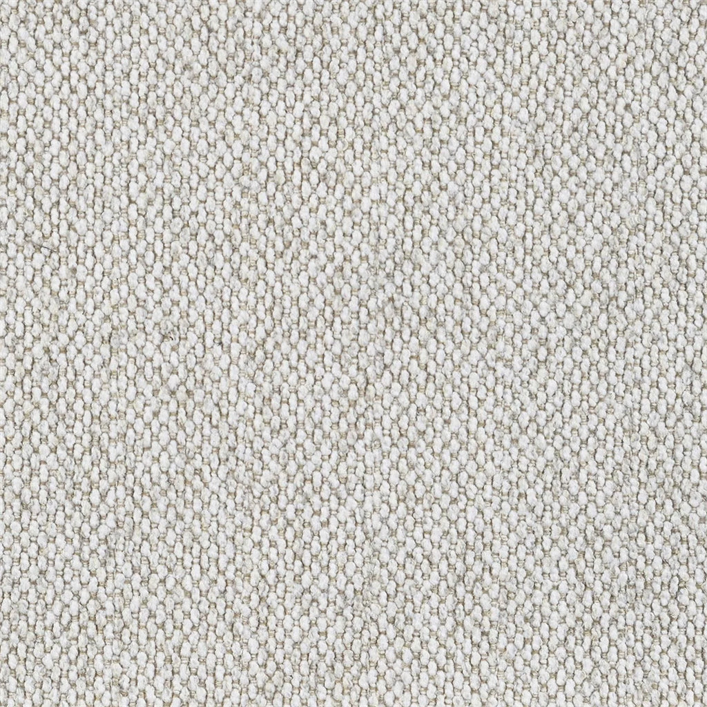 Latte Fabric Upholstered 2-piece Living Room Set D932