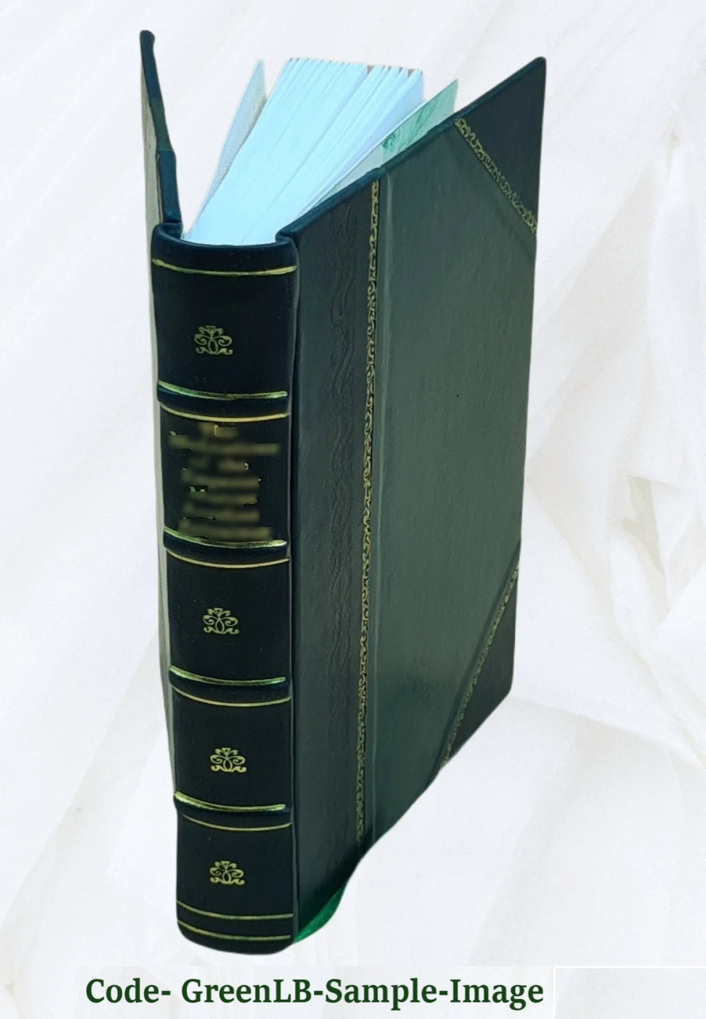 Leather Bound B73603