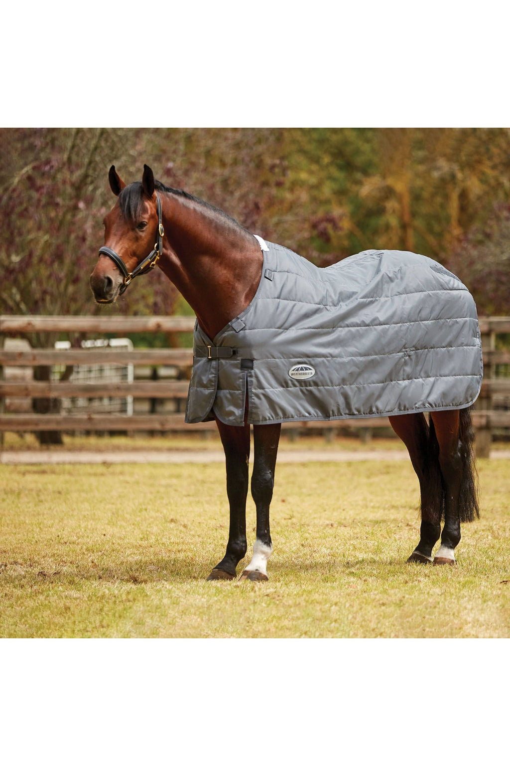 Medium Lite Liner S60177