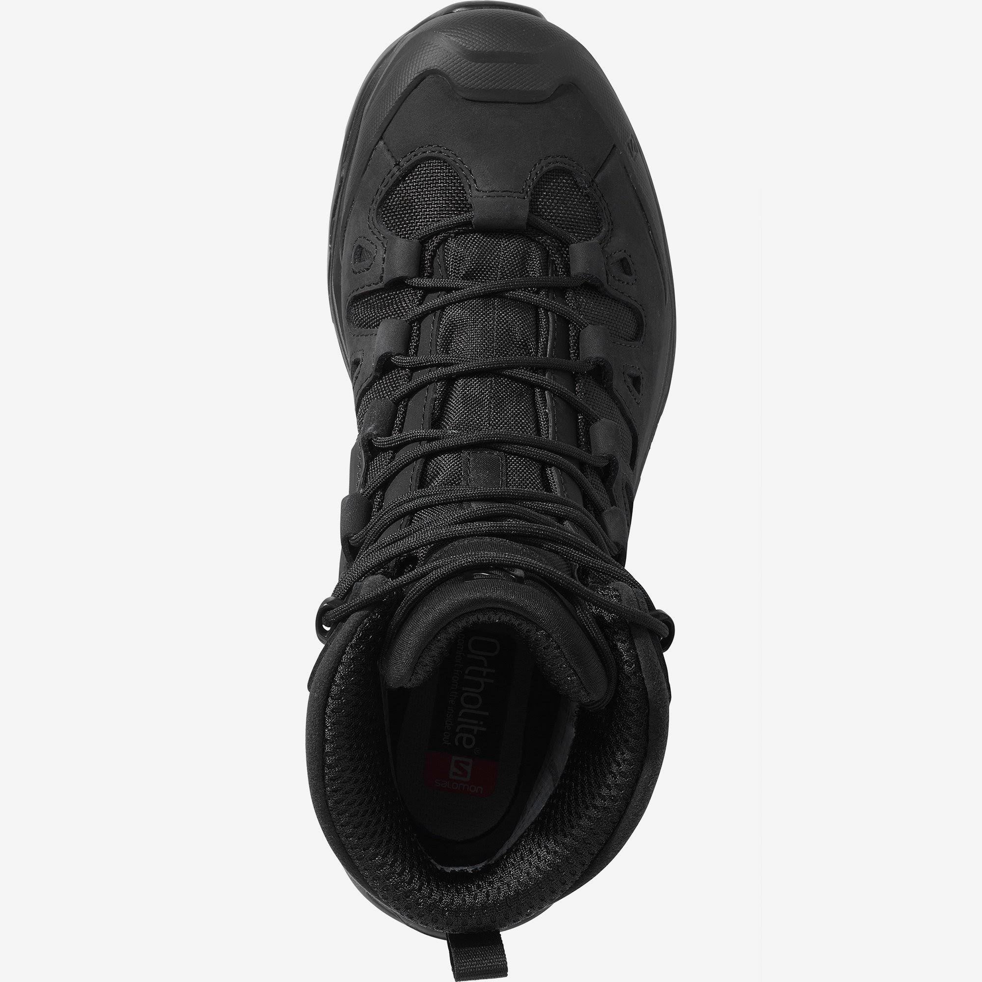 Coyote Coyote Coyote Quest 4D Forces 2 A891