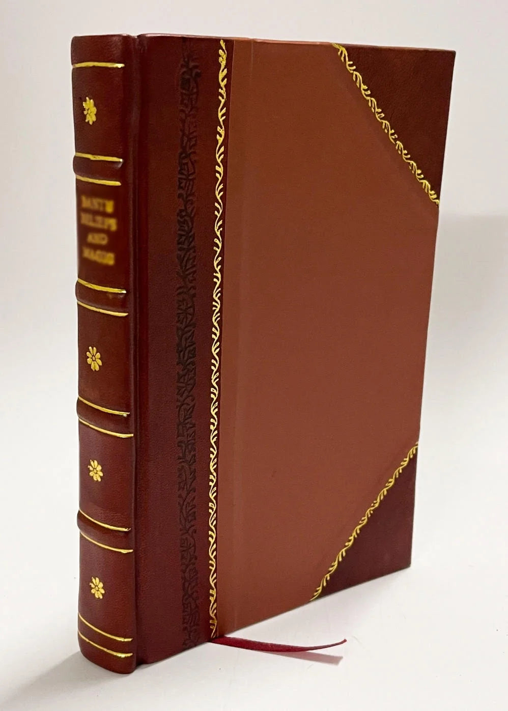 Leather Bound Book G525