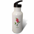 Red Vining Annual Sweetpea Botanical Print 21 oz Sports Water Bottle Z3282