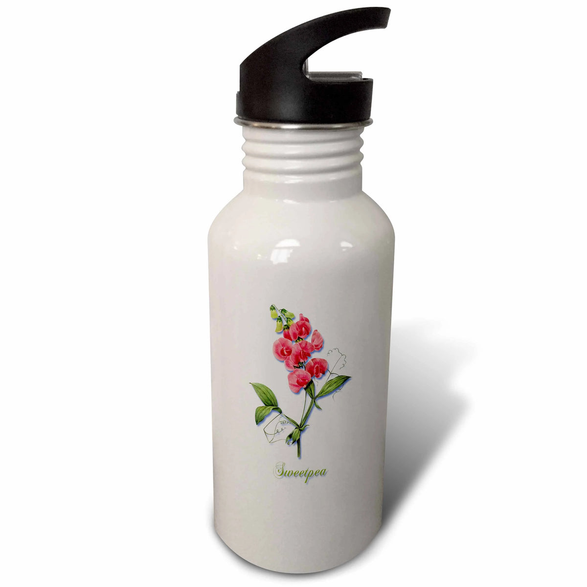 Red Vining Annual Sweetpea Botanical Print 21 oz Sports Water Bottle Z3282