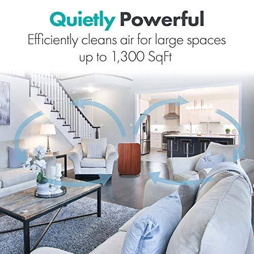 True HEPA Air Purifier D138