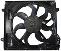 Engine Cooling Fan P191