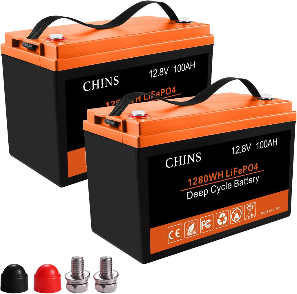 12V 100AH LiFePO4 Lithium Battery with Built-in 100A BMS F8291