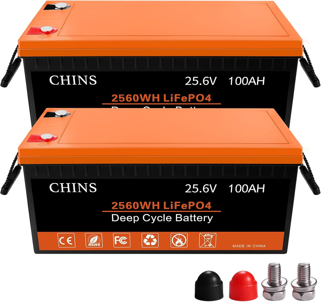 12V 100AH LiFePO4 Lithium Battery with Built-in 100A BMS F8291