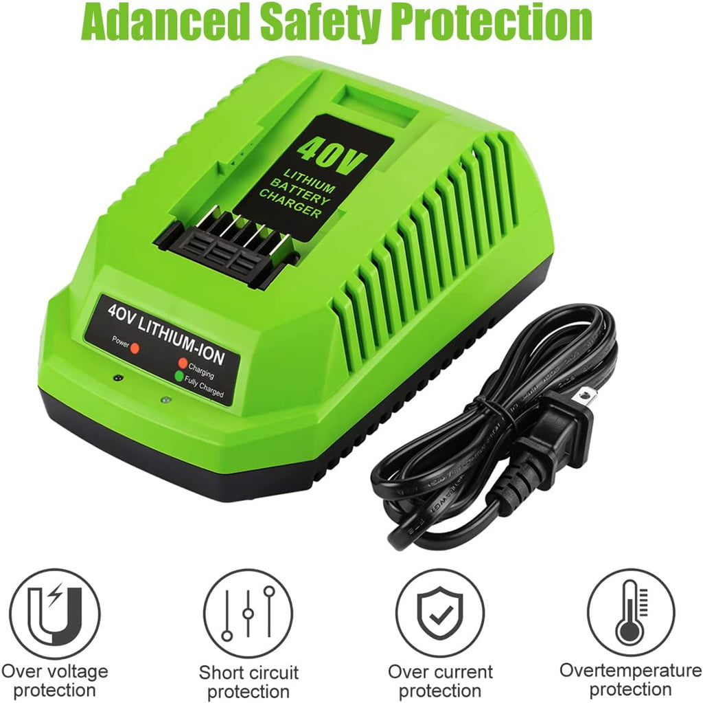 40V 6.0Ah Battery Pack of 2 P11336