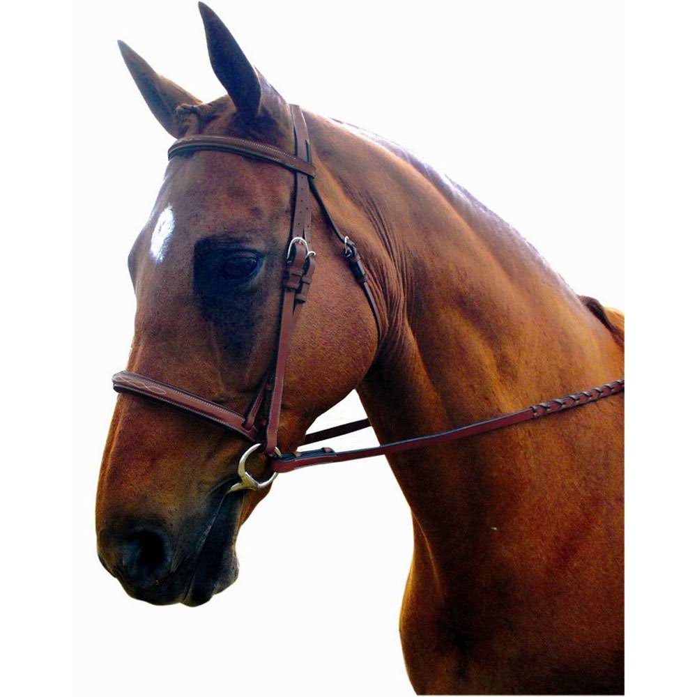 Bridle Y507