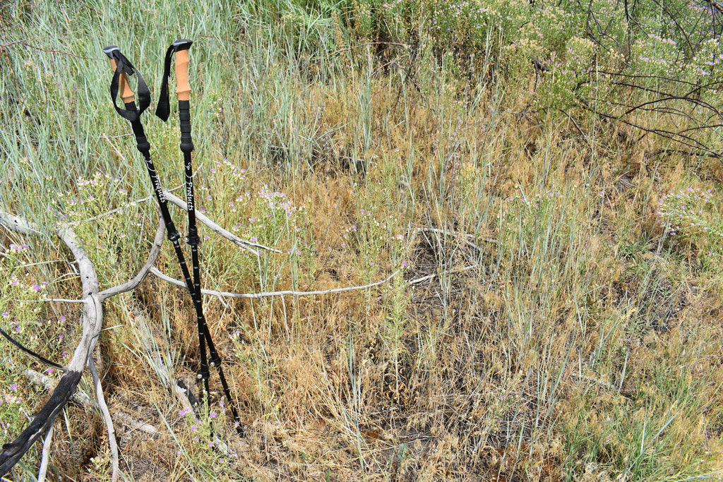 Trekking Poles S607987