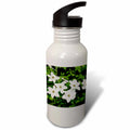 21 oz Sports Water Bottle D170