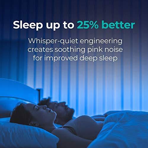 True HEPA Air Purifier D138