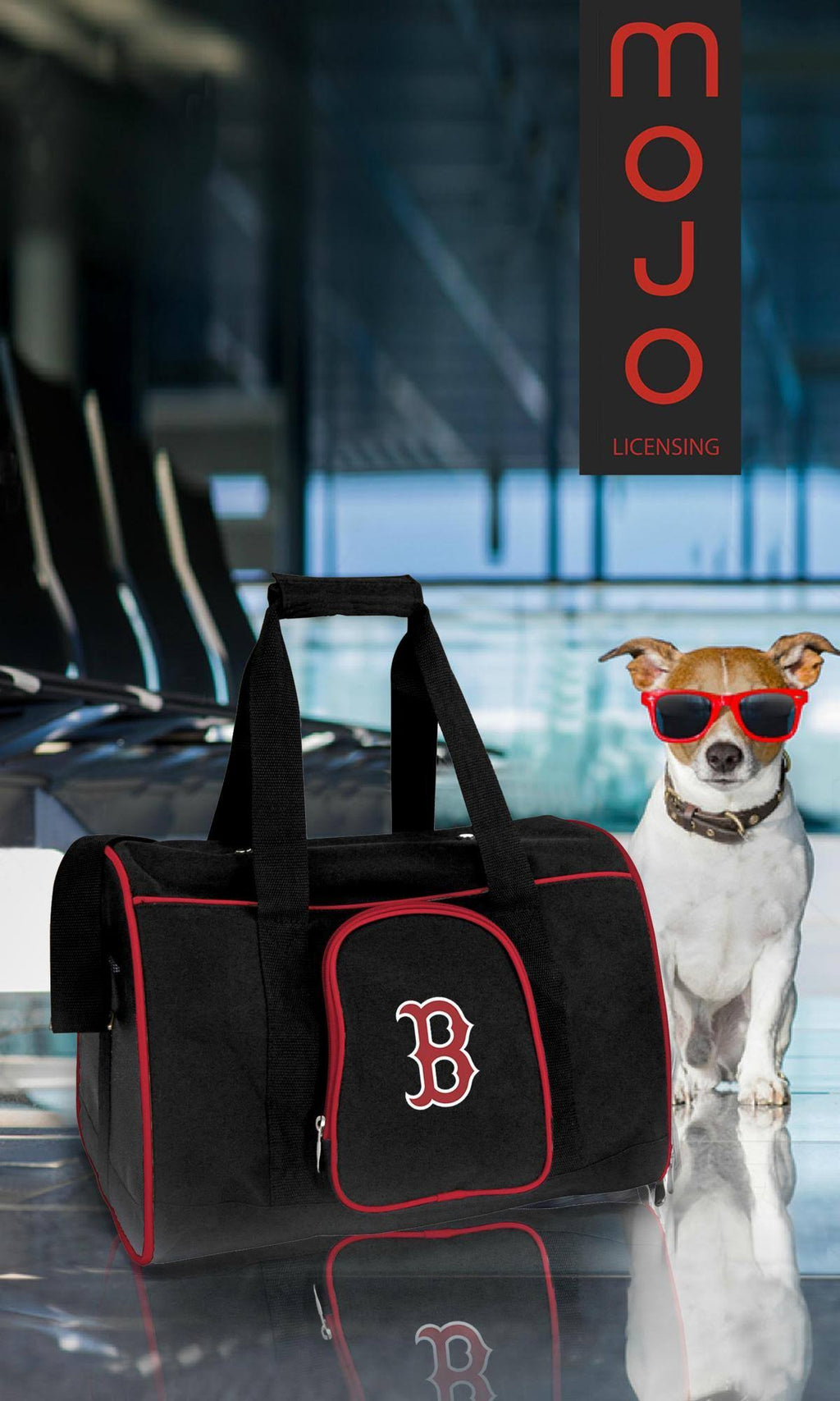 Premium Pet Carrier M604831
