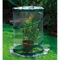 Pop-Up Greenhouse Box of 10 W852