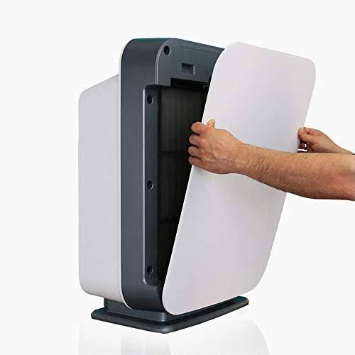 True HEPA Air Purifier D138