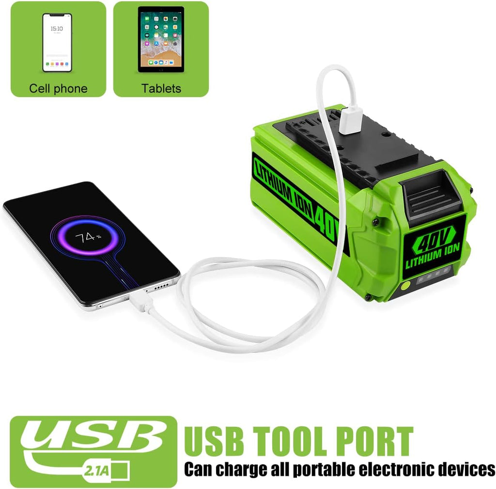 40V 6.0Ah Battery Pack of 2 P11336