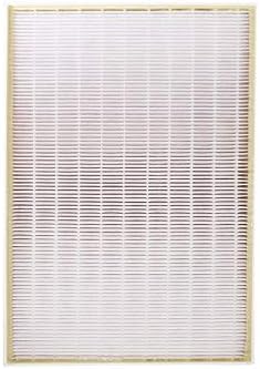 True HEPA Filter and 4 Carbon Pre-Filters Pack of 2 F710538