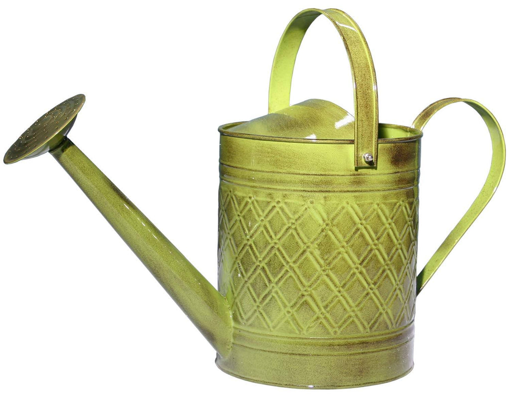 2-Gallon Watering Can W70915