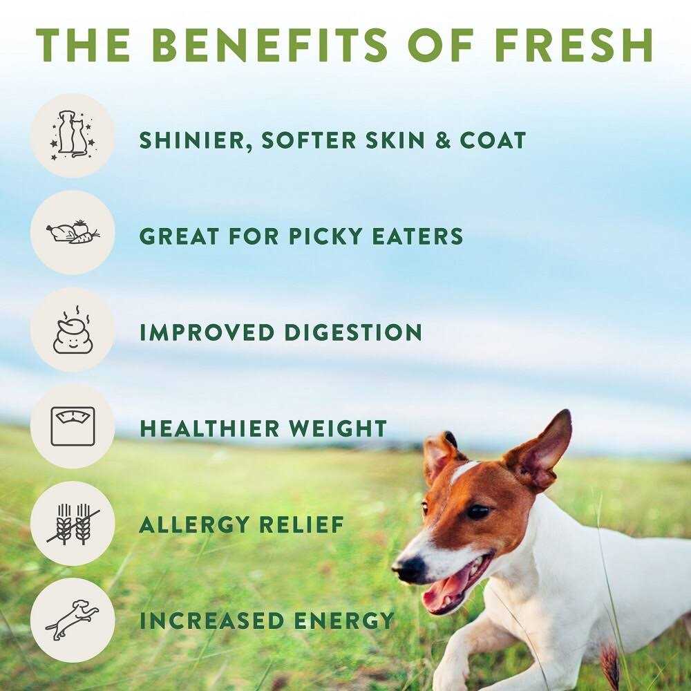Grain Free Chicken Recipe Slice & Serve Roll Dog Food Q5588