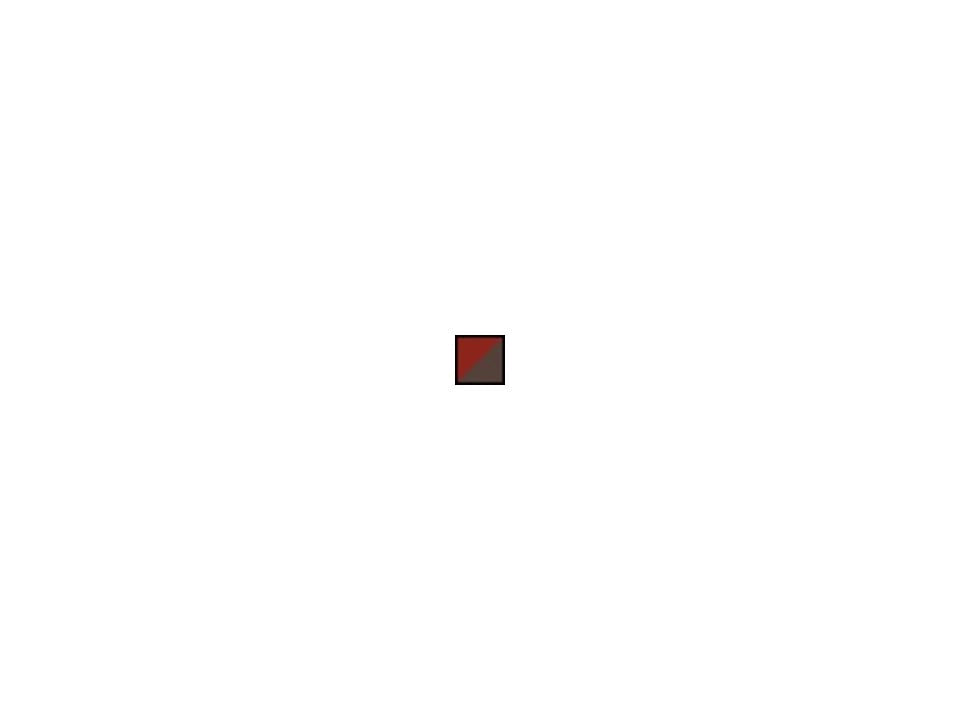 Rusted Red Day Pack S134