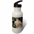 21 oz Sports Water Bottle O935365