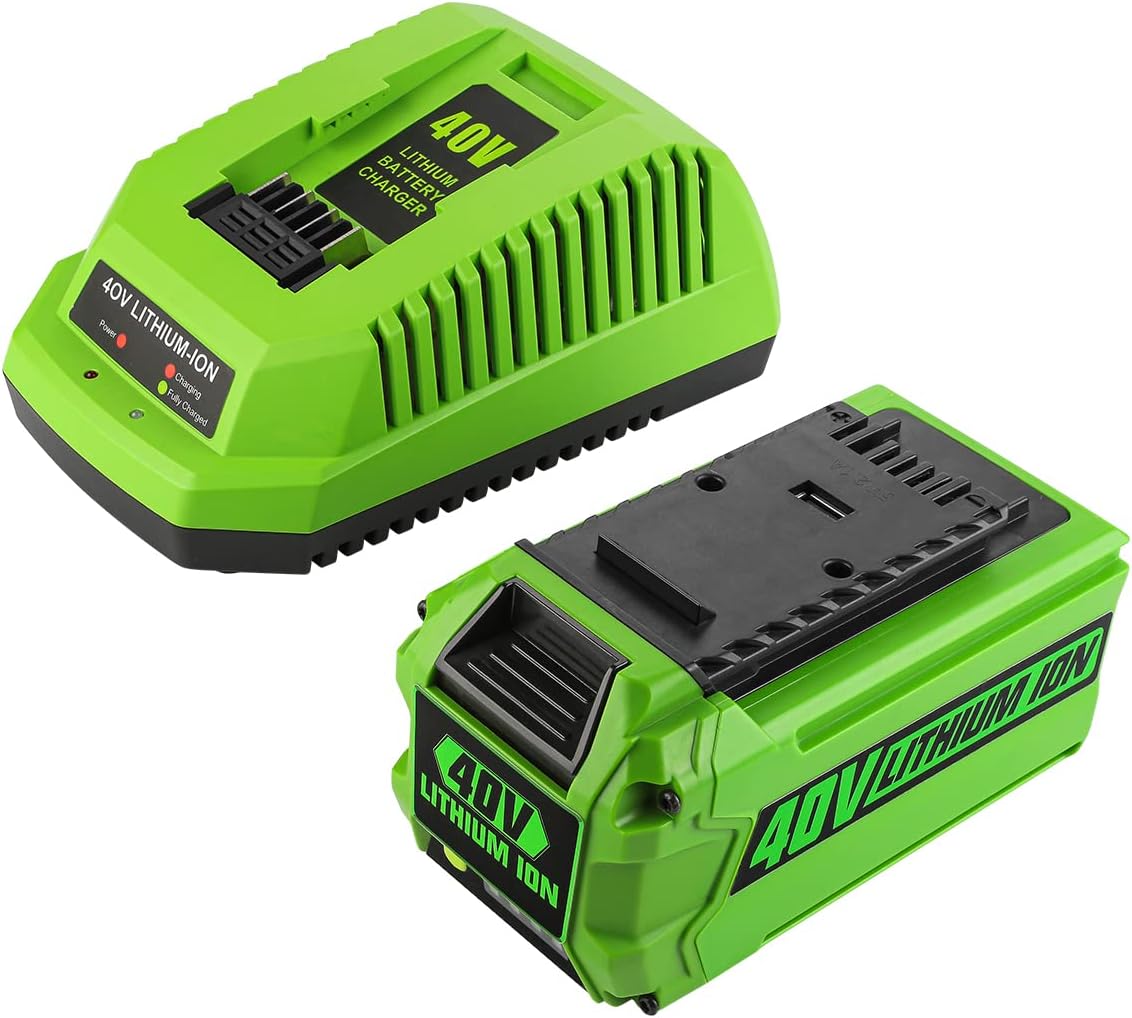 40V 6.0Ah Battery Pack of 2 P11336