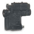 Steam Trap, Cast Iron, 0 to 180 PSI X635004