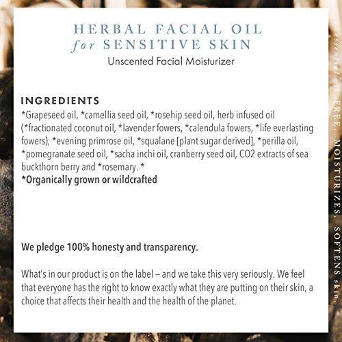 Unscented Herbal Facial Oil 15ml S85085