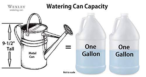 2-Gallon Watering Can W70915