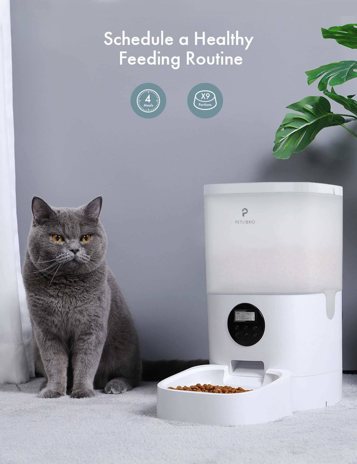Automatic Dog & Cat Feeder, Translucent, 25-Cup G3651