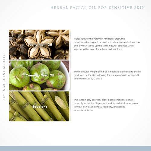 Unscented Herbal Facial Oil 15ml S85085
