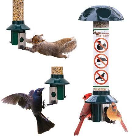 Green Wild Bird Feeder, 3lbs Capacity K144120